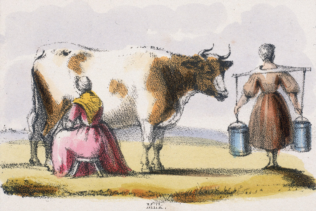 Detail of Milk, c1845 by Benjamin Waterhouse Hawkins