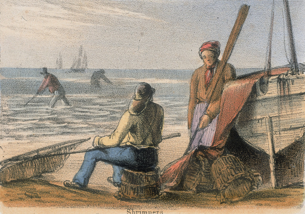 Detail of Shrimpers, c1845 by Benjamin Waterhouse Hawkins