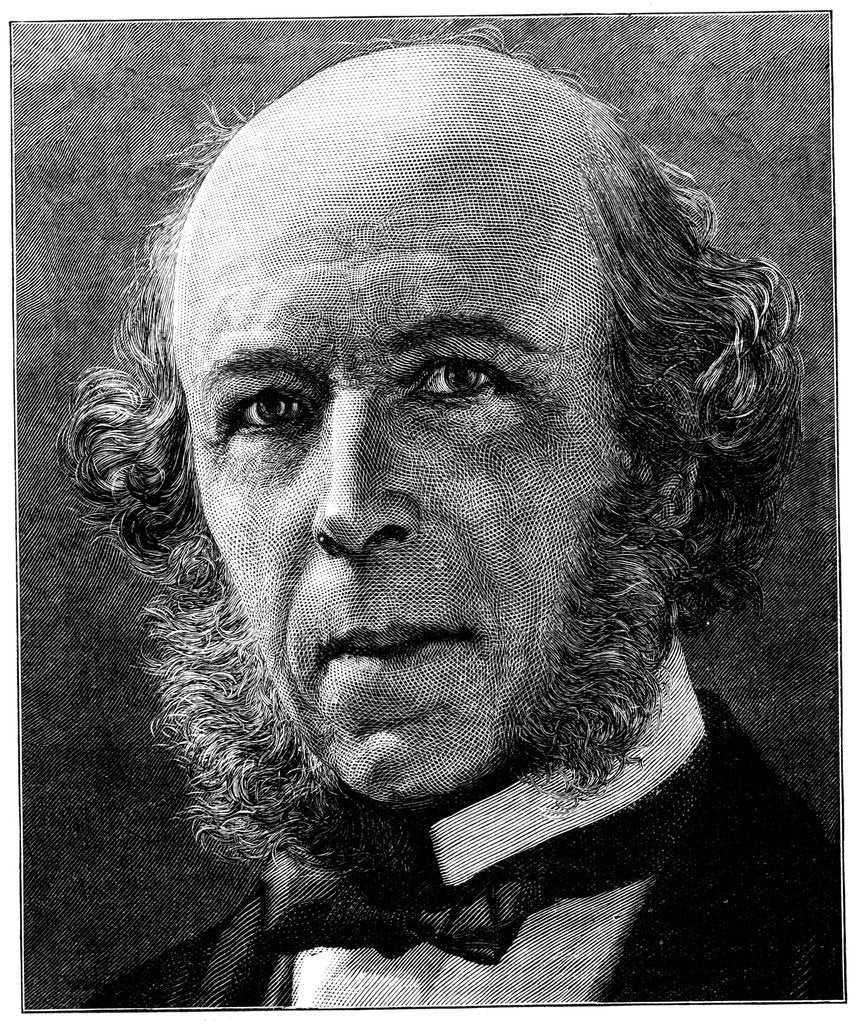 Detail of Herbert Spencer, English philosopher and sociologist, 1897 by Anonymous