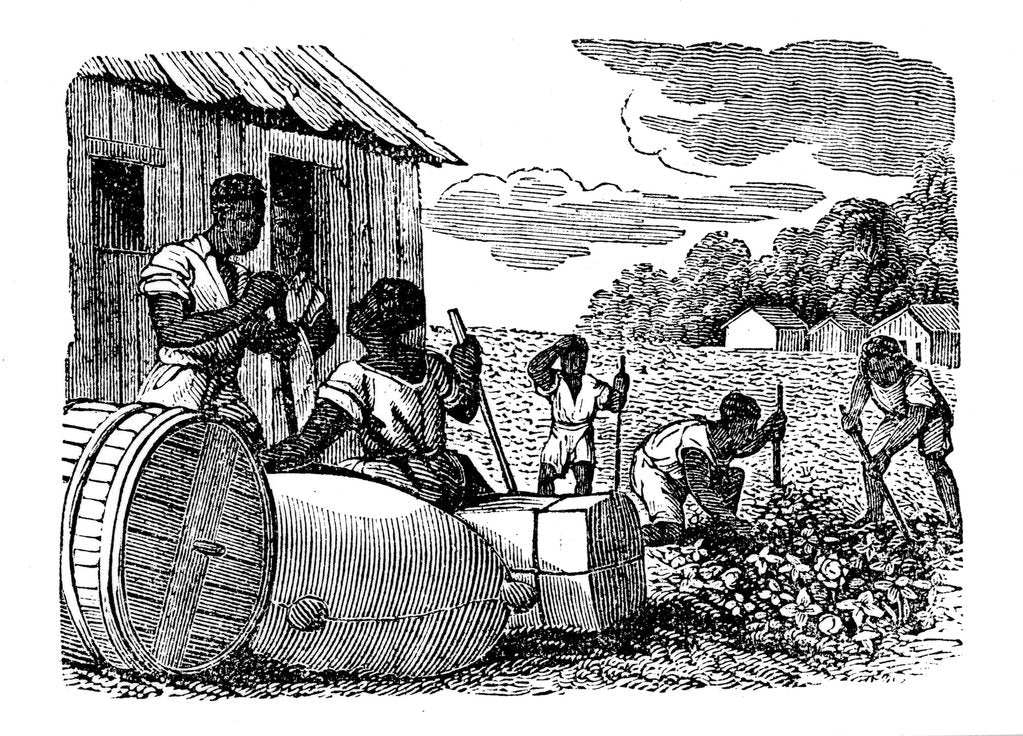 Detail of Slaves working on a tobacco plantation, 1833 by Anonymous