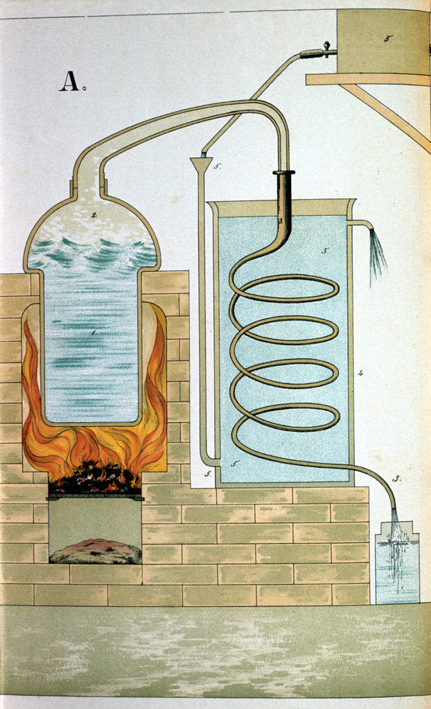 Detail of Distillation, 1882 by Anonymous