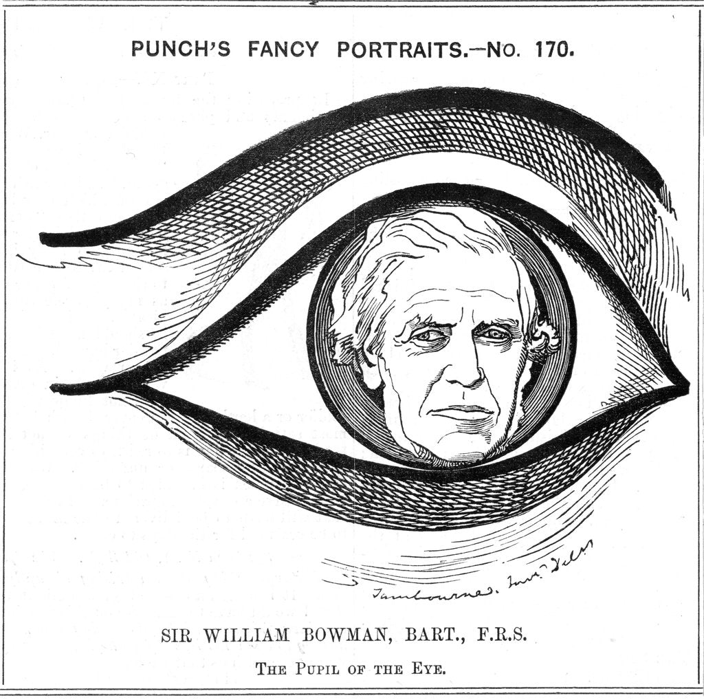 Detail of William Bowman, English anatomist, surgeon and ophthalmologist, 1884 by Edward Linley Sambourne