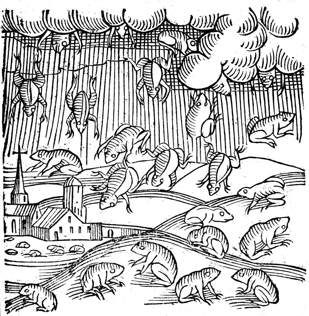 Detail of Rain of frogs recorded in 1355 (1557) by Unknown