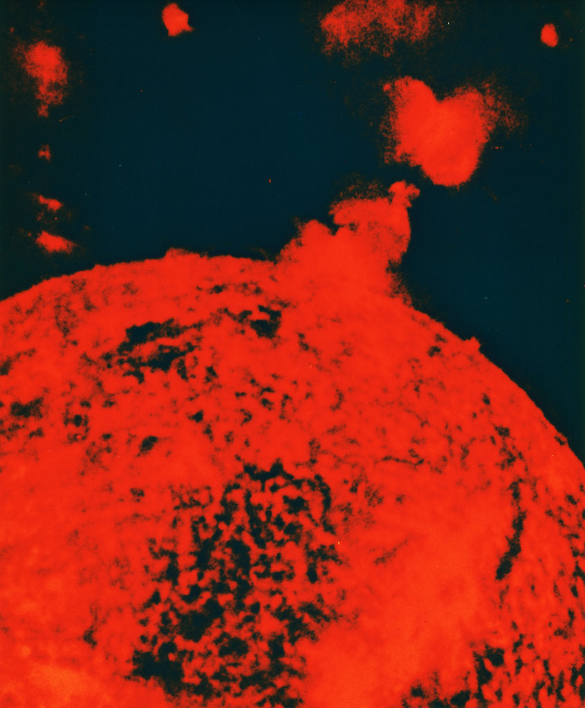 Detail of Solar eruption by Unknown