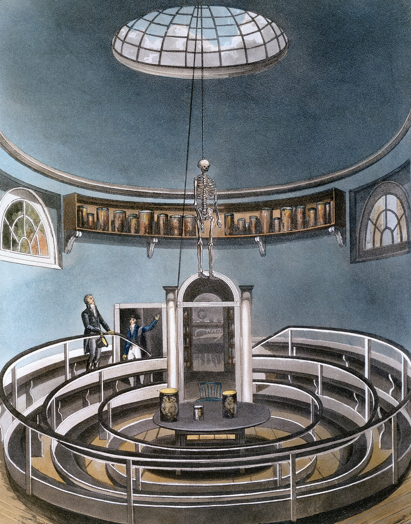 Detail of Theatre of Anatomy, Cambridge, 1815 by Unknown