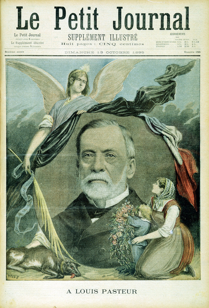 Detail of Louis Pasteur, French chemist, 1895 by Unknown