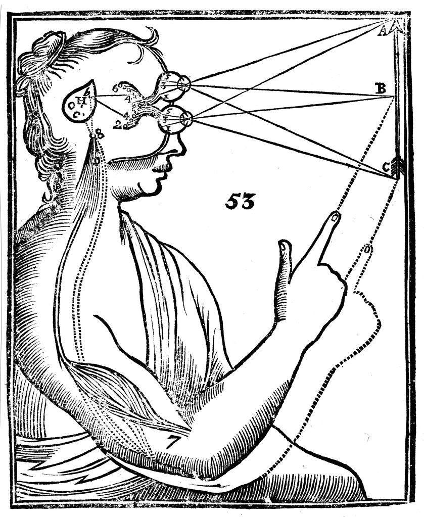 Detail of Descartes' idea of vision, 1692 by Unknown