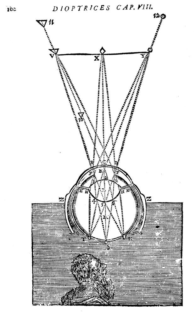 Detail of Descartes' explanation of vision, 1692 by Unknown