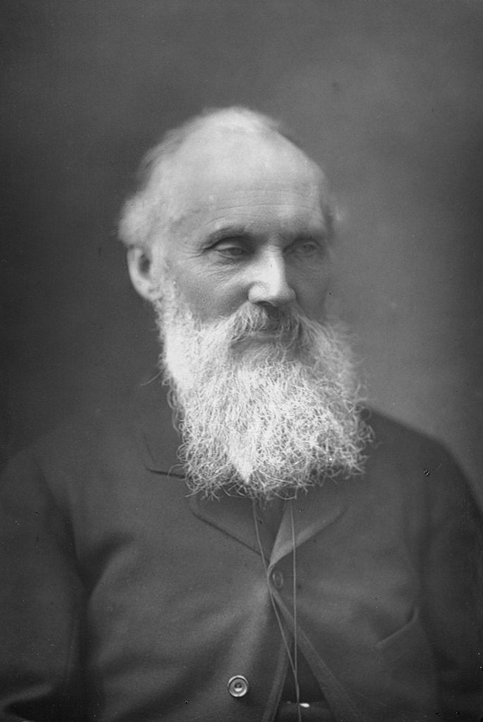 Detail of Lord Kelvin, Scottish mathematician and physicist, c1890 by Unknown