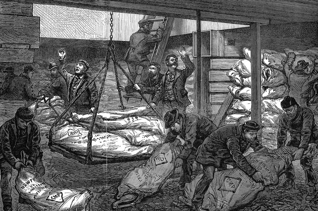 Detail of Unloading frozen meat from Australia, South West India Dock, Millwall, London, 1881 by Unknown