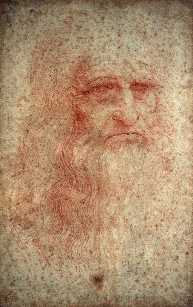 Detail of Self portrait of Leonardo da Vinci, Italian painter, sculptor, engineer and architect, c1513 by Leonardo da Vinci