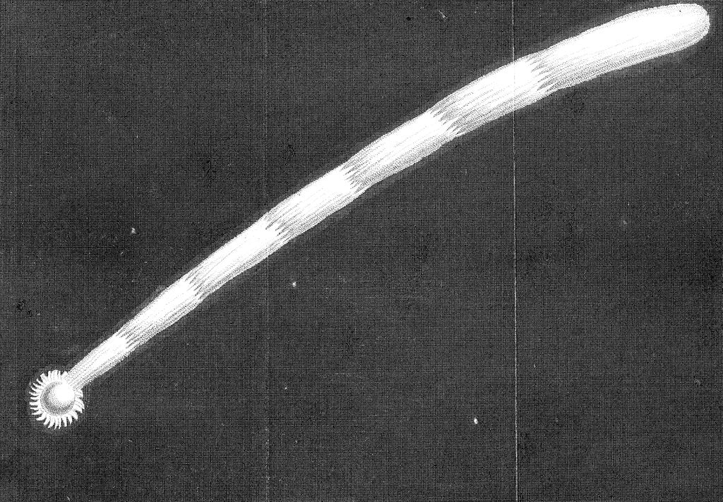 Detail of Great comet of 1680 (Kirch) as it appeared as it approached the Sun by Unknown