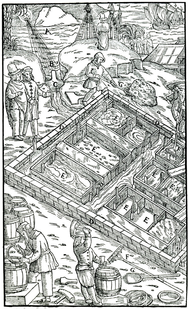 Detail of Producing salt by evaporating sea water in salt pans, 1556 by Unknown