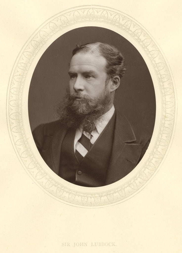 Detail of John Lubbock, first Baron Avebury, English banker, archaeologist, naturalist and politician, c1880 by Unknown