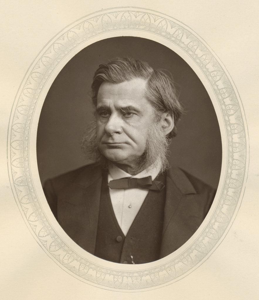 Detail of Thomas, Henry Huxley, English biologist, 1877 by Lock & Whitfield