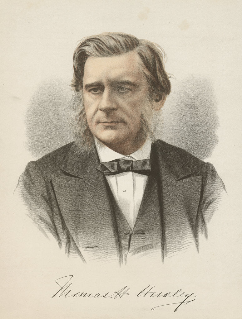 Detail of Thomas Henry Huxley, English biologist, c1880 by Unknown