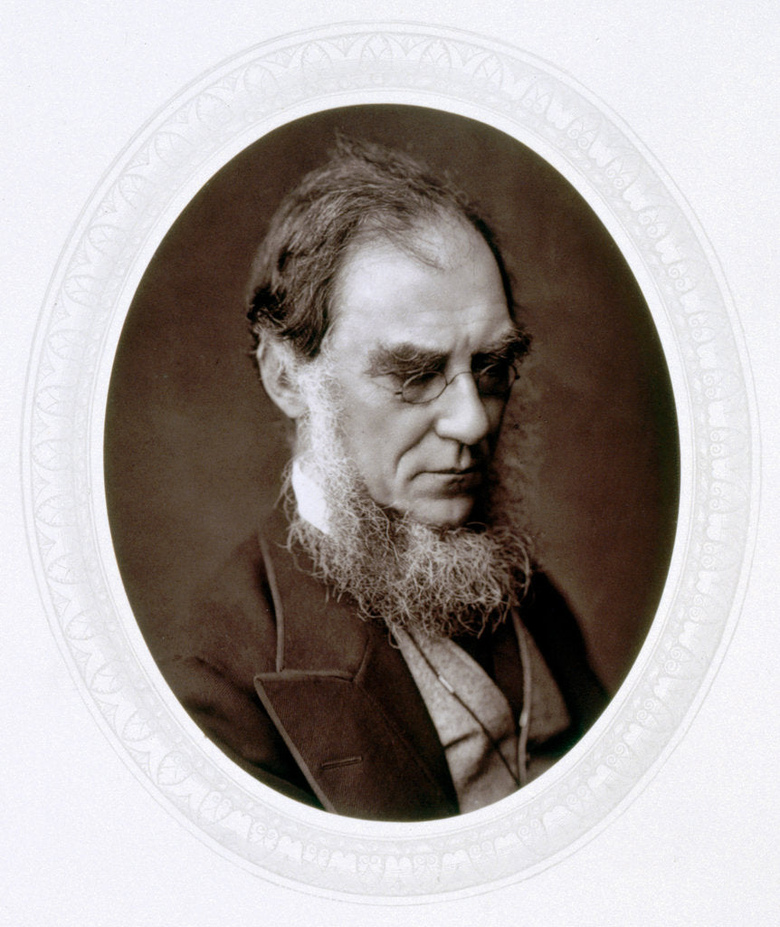 Detail of Joseph Dalton Hooker, English botanist, c1880 by Lock & Whitfield