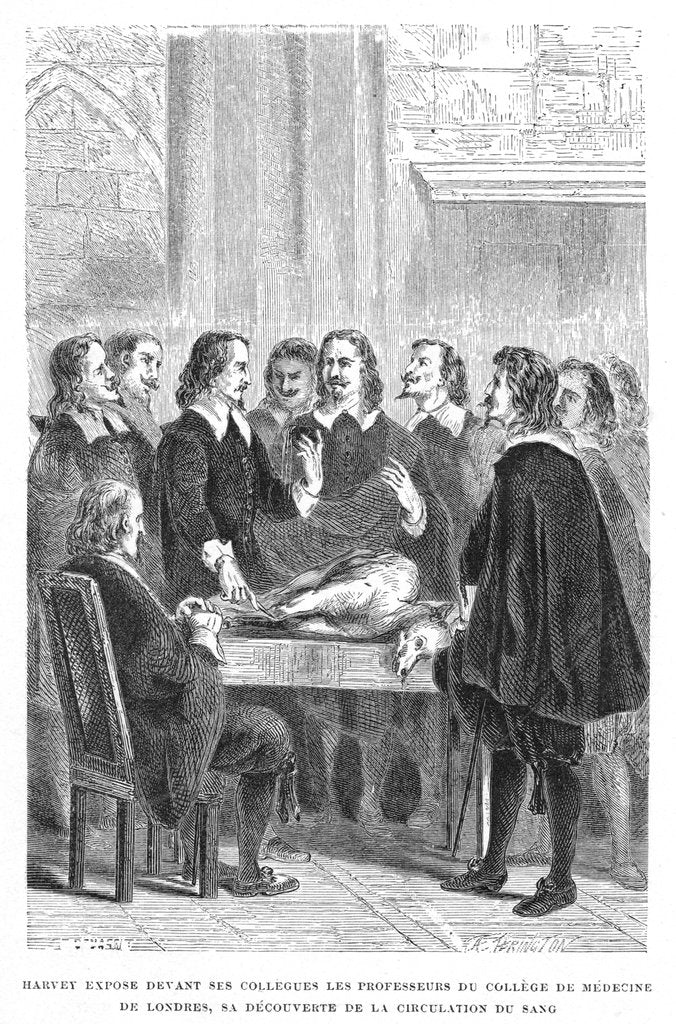 Detail of Harvey demonstrating circulation of the blood to the College of Physicians, c1628 (1870) by Unknown