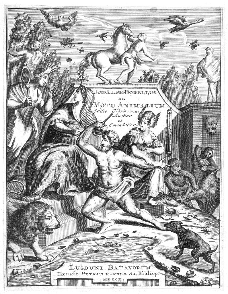 Detail of Half-title of De Motu Animalum by Giovanni Borelli, 1710 by Unknown