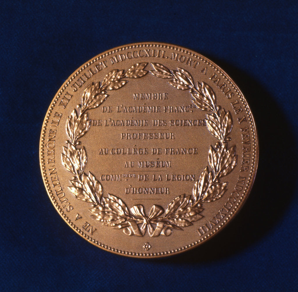 Detail of Medal commemorating Claude Bernard, French physiologist, 19th century by Unknown