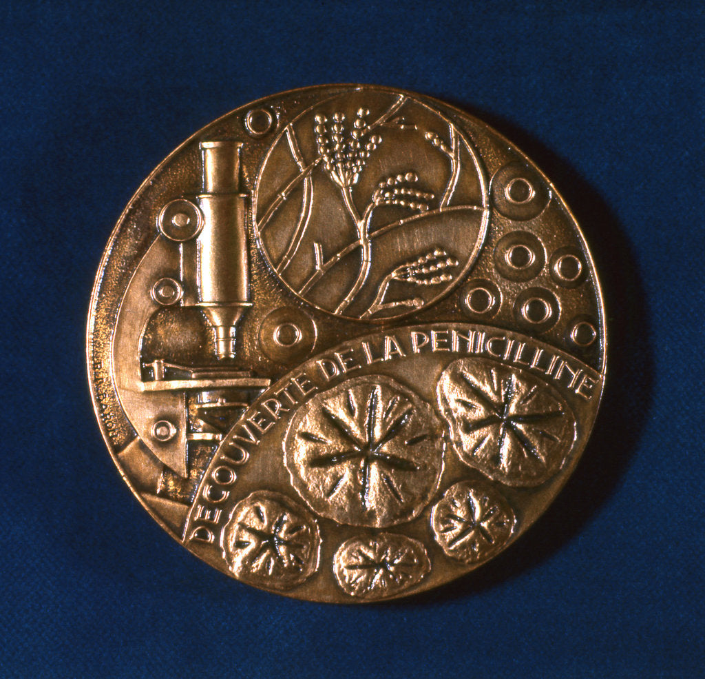 Detail of Medal commemorating the discovery of penicillin, 1945 by Unknown