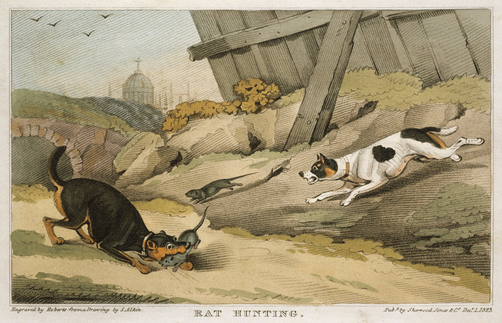 Detail of Rat Hunting, 1823 by Unknown