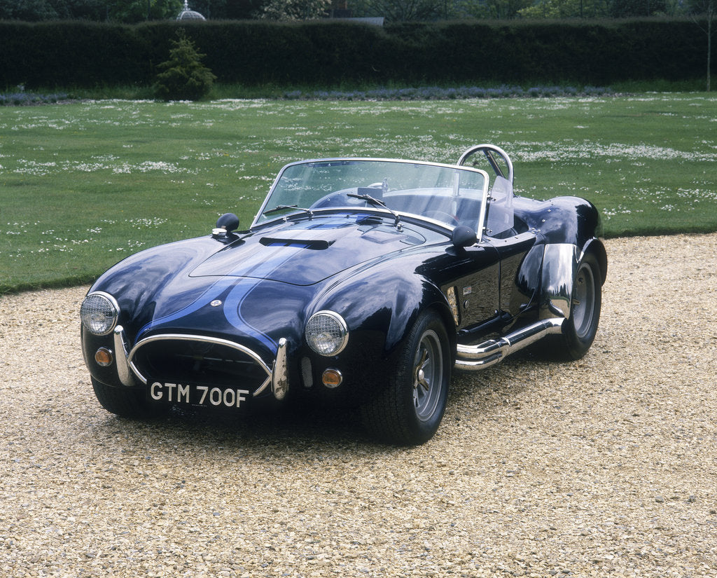 Detail of 1965 AC Shelby Cobra 427 by Unknown