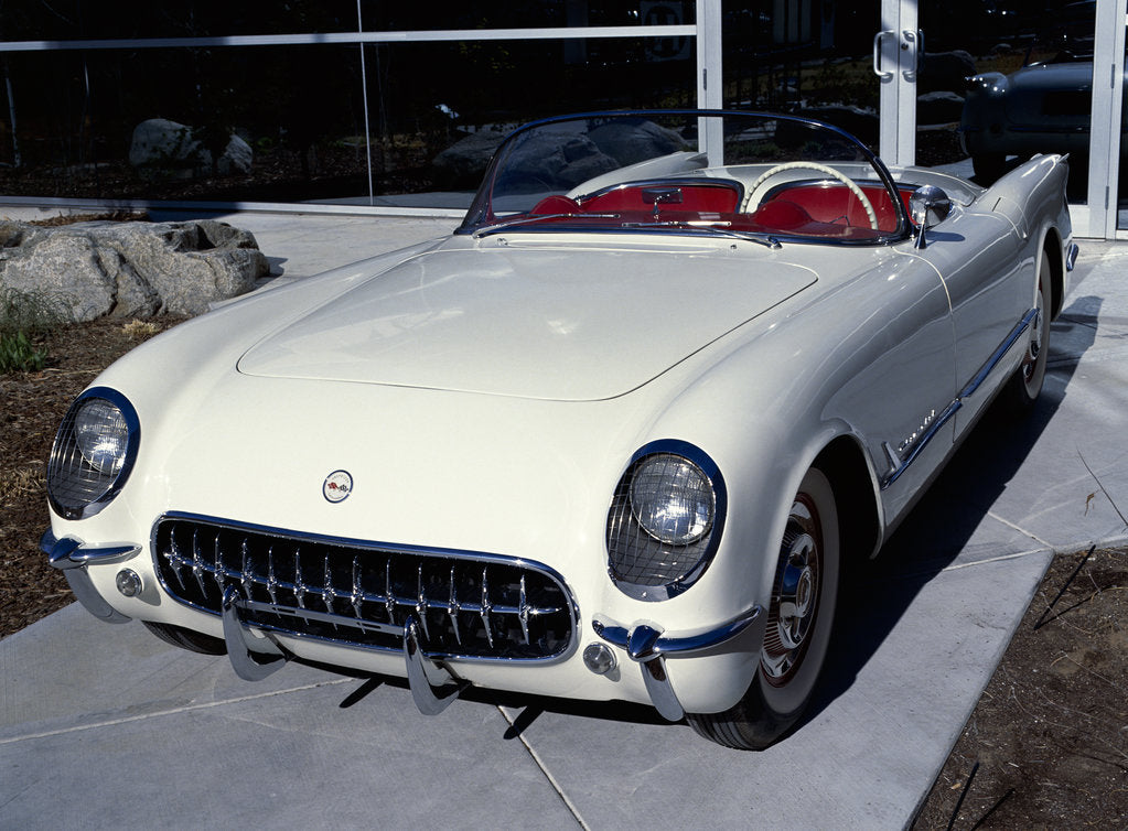 Detail of 1953 Chevrolet Corvette by Unknown