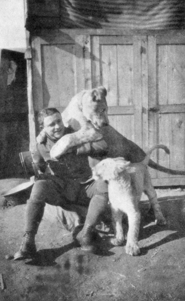 Detail of Raoul Lufbery, French-American fighter pilot and flying ace of World War I by Anonymous