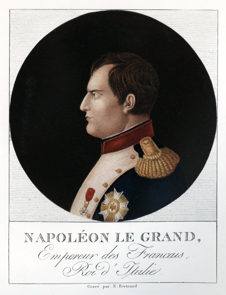 Detail of Emperor Napoleon Bonaparte by N Bertrand