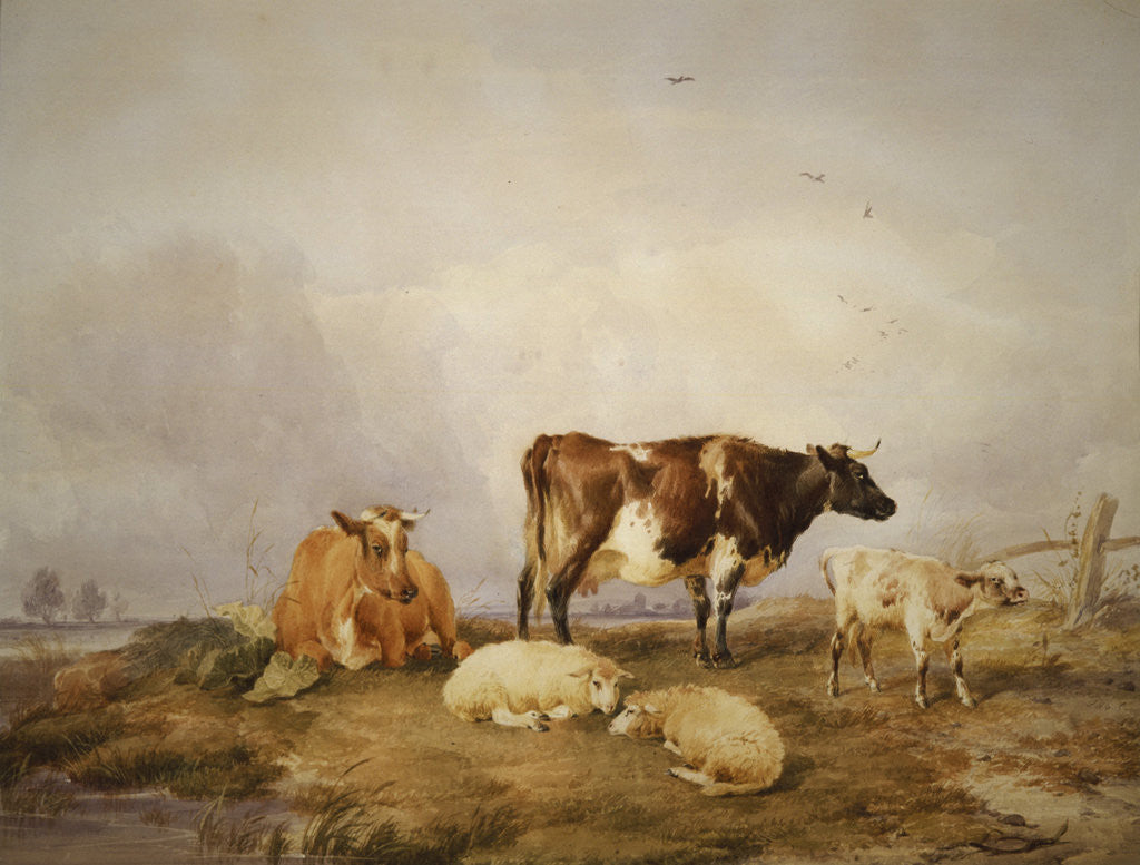 Detail of Landscape and Cattle by Thomas Sidney Cooper