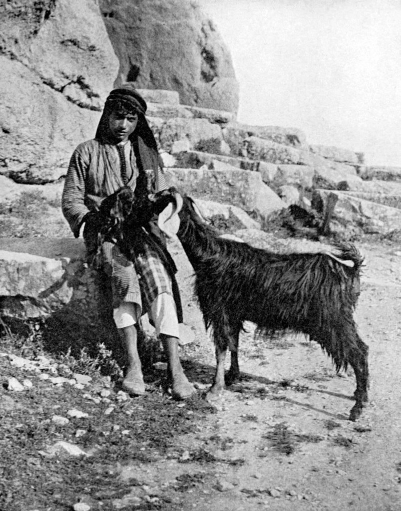 Detail of Arab boy and goat, Middle East by Donald McLeish