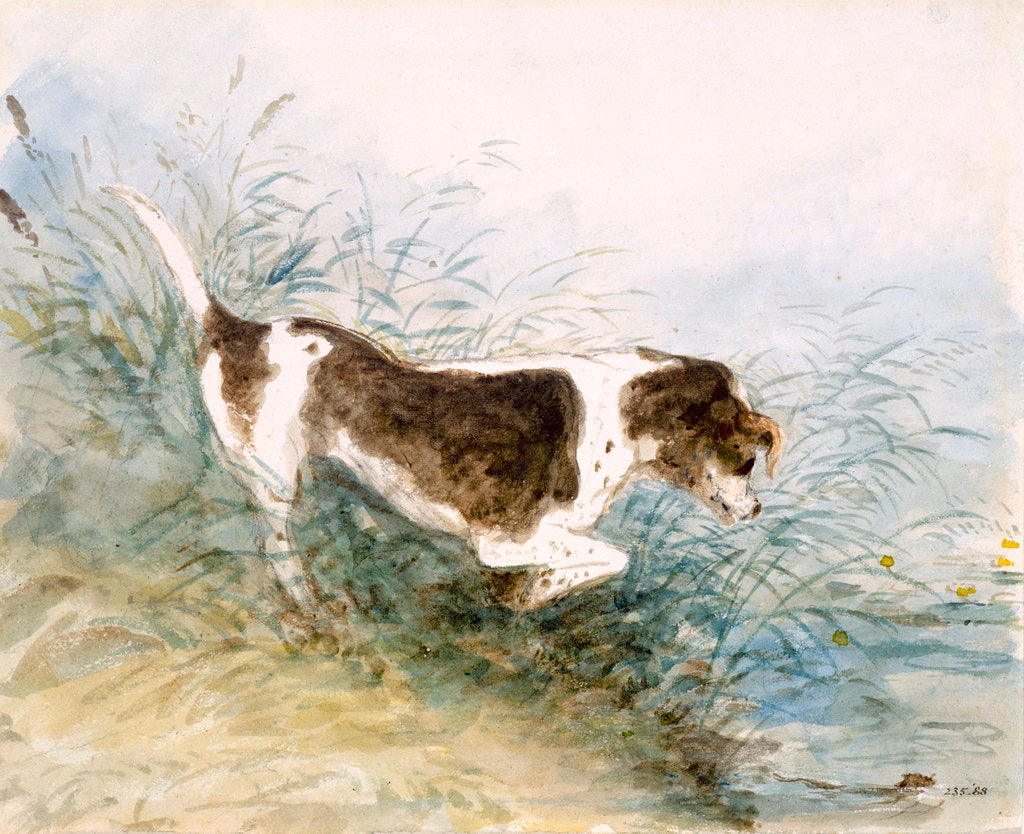 Detail of A Dog Watching a Rat in the Water by John Constable