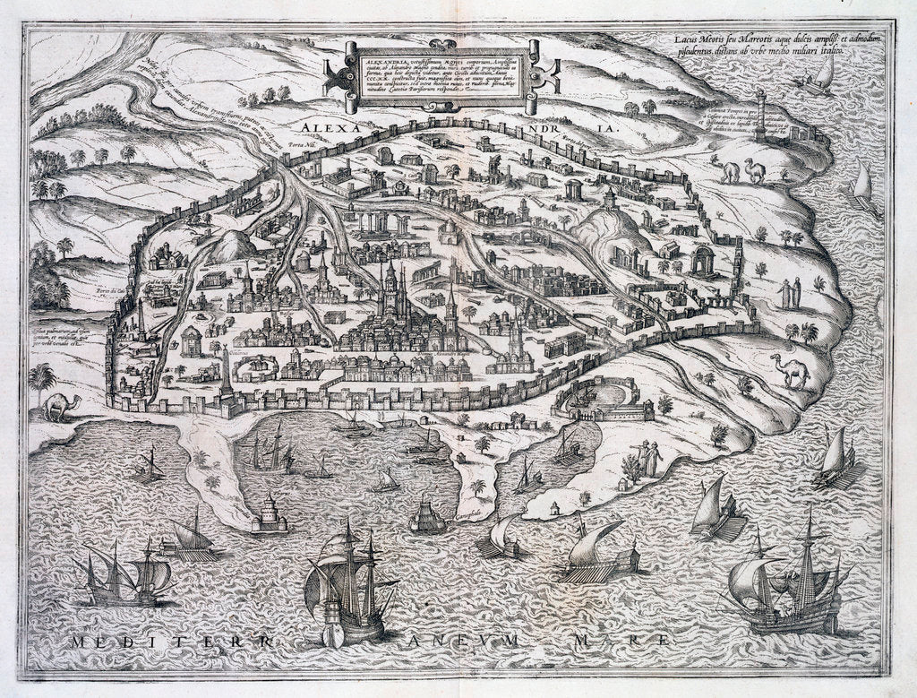 Detail of Map of Alexandria by Anonymous