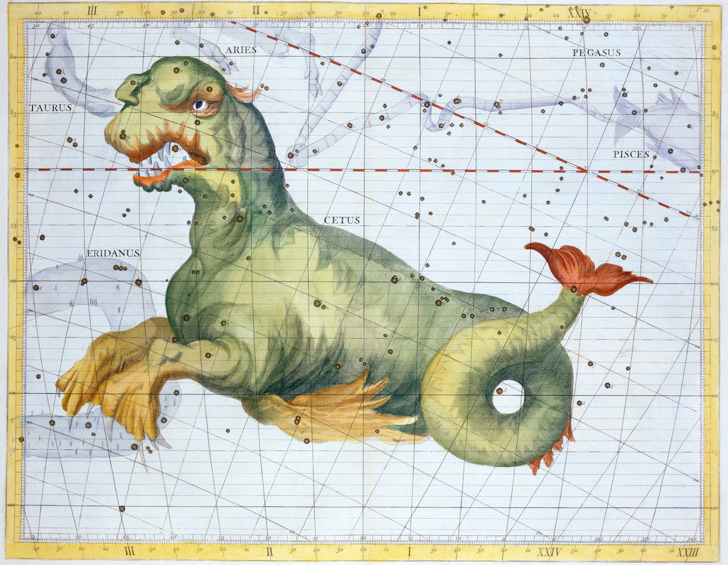 Detail of Constellation of Cetus (the Whale) by Anonymous