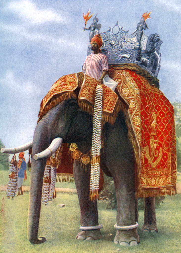 Detail of A majestic elephant at Bengal's chief festive gathering, India by L Barber