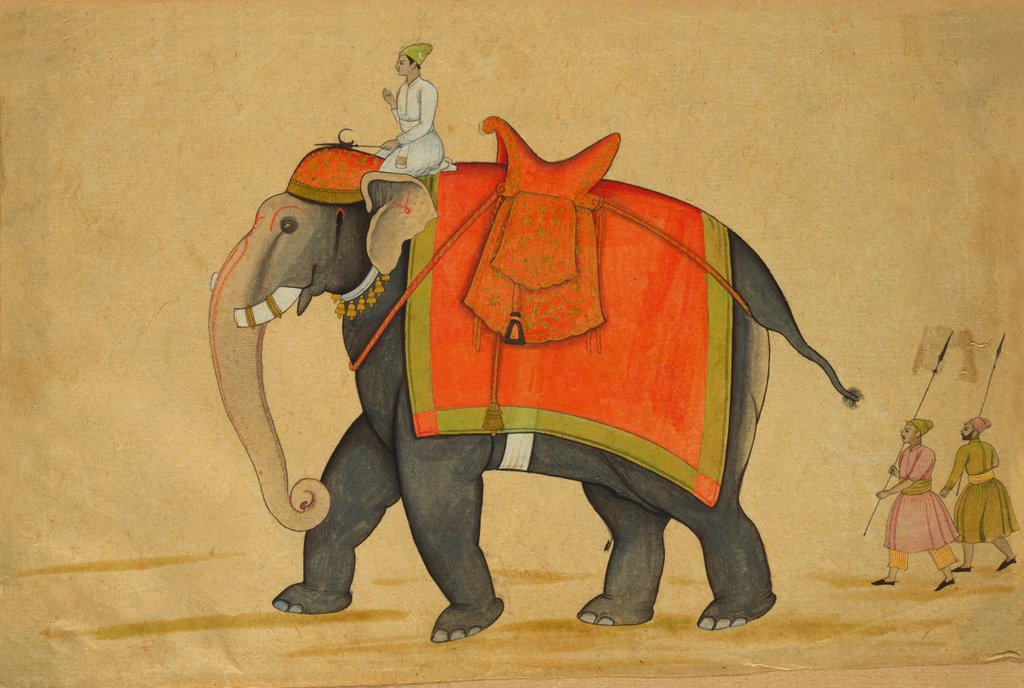 Detail of Elephant Guth Gaj by Nainsukh