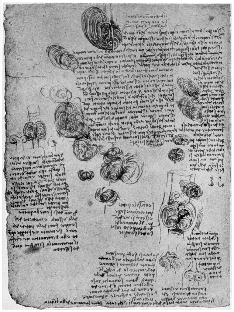 Detail of Diagram of the blood vortex in the heart by Leonardo Da Vinci