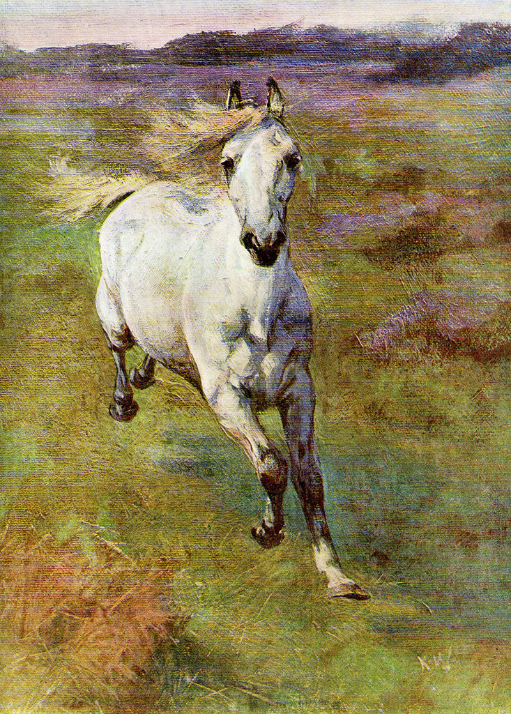 Detail of Study from Life for 'Colt Hunting in the New Forest' by Anonymous