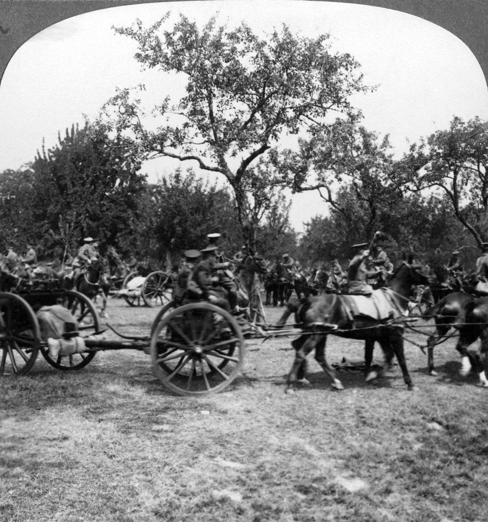 Detail of Horse-drawn artillery, World War I by Realistic Travels Publishers