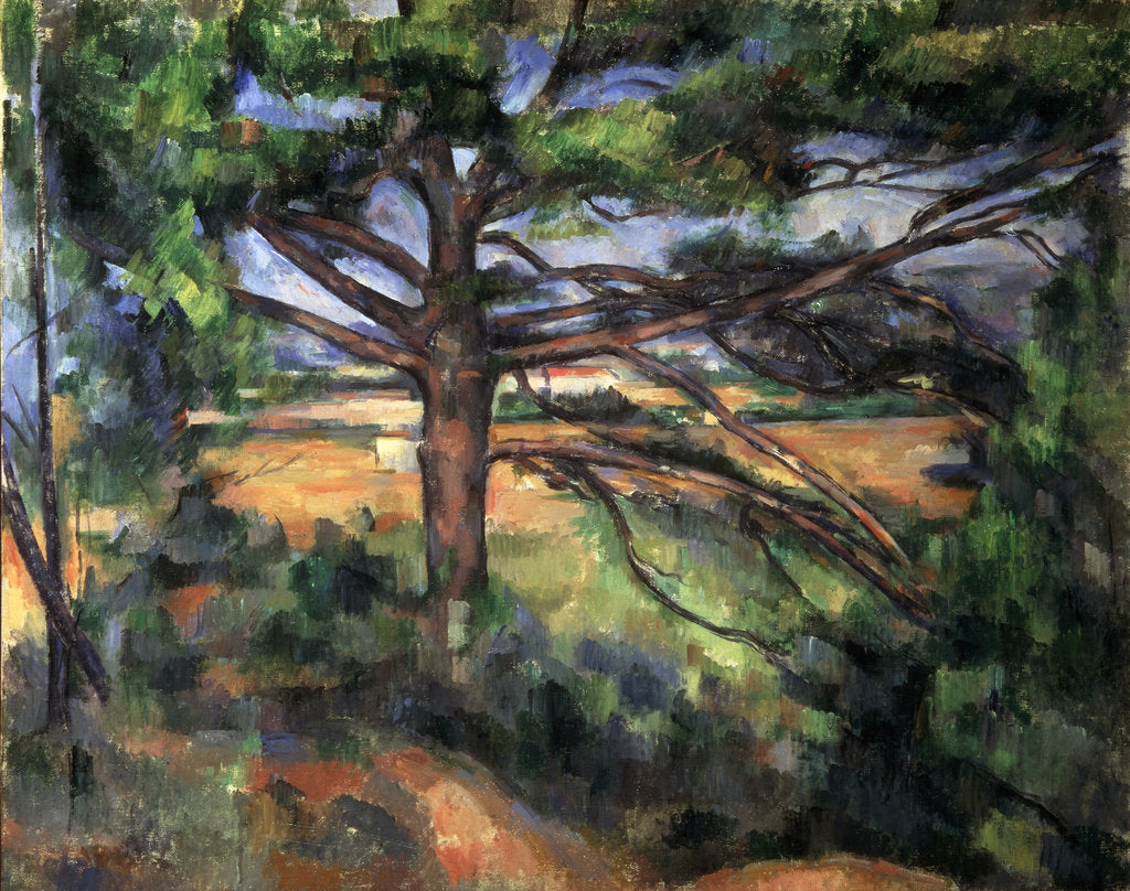 Detail of A Big Pine Tree near Aix, 1895-1897. by Paul Cezanne