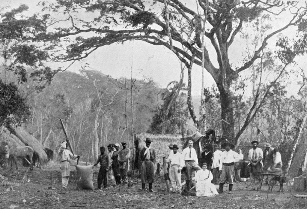 Detail of Paraguayan tea gathering, Paraguay by Anonymous