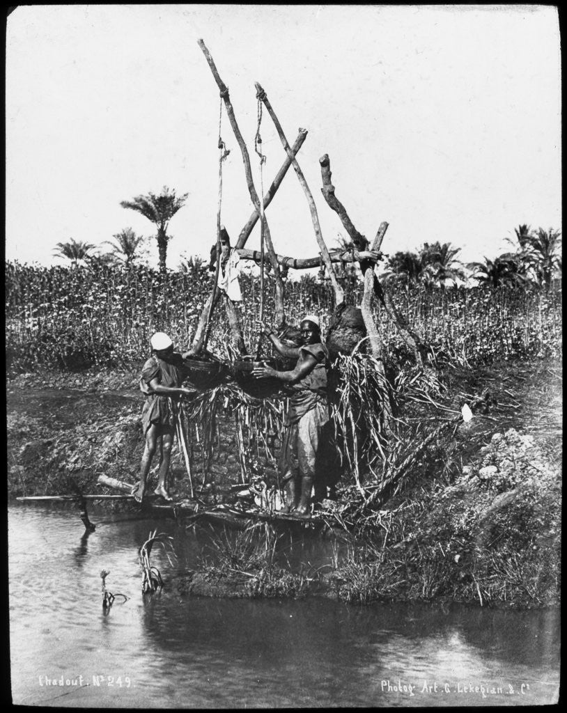 Detail of A shaduf on the Nile, Egypt by G Lekegian