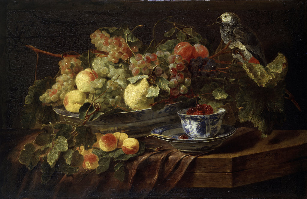 Detail of Still Life with Fruit and Parrot, 1645. by Jan Fyt