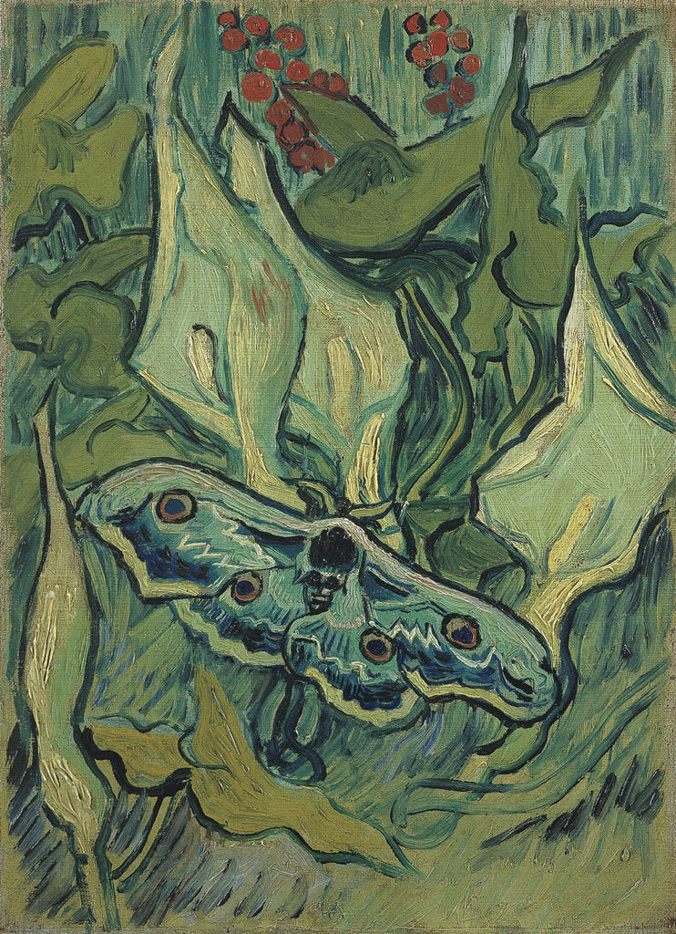 Detail of Green Peacock Moth (The Emperor Moth), 1889 by Vincent van Gogh