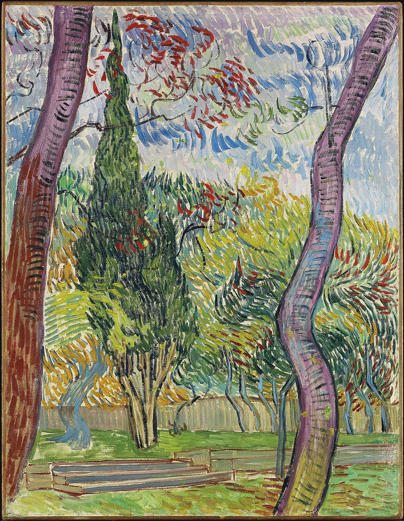 Detail of Parc de lhôpital Saint-Paul, 1889 by Vincent van Gogh