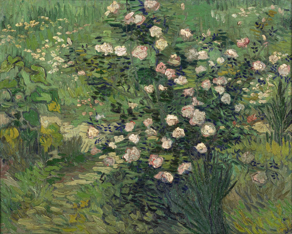 Detail of Roses, 1889 by Vincent van Gogh