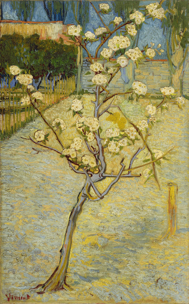 Detail of Small pear tree in blossom, 1888 by Vincent van Gogh