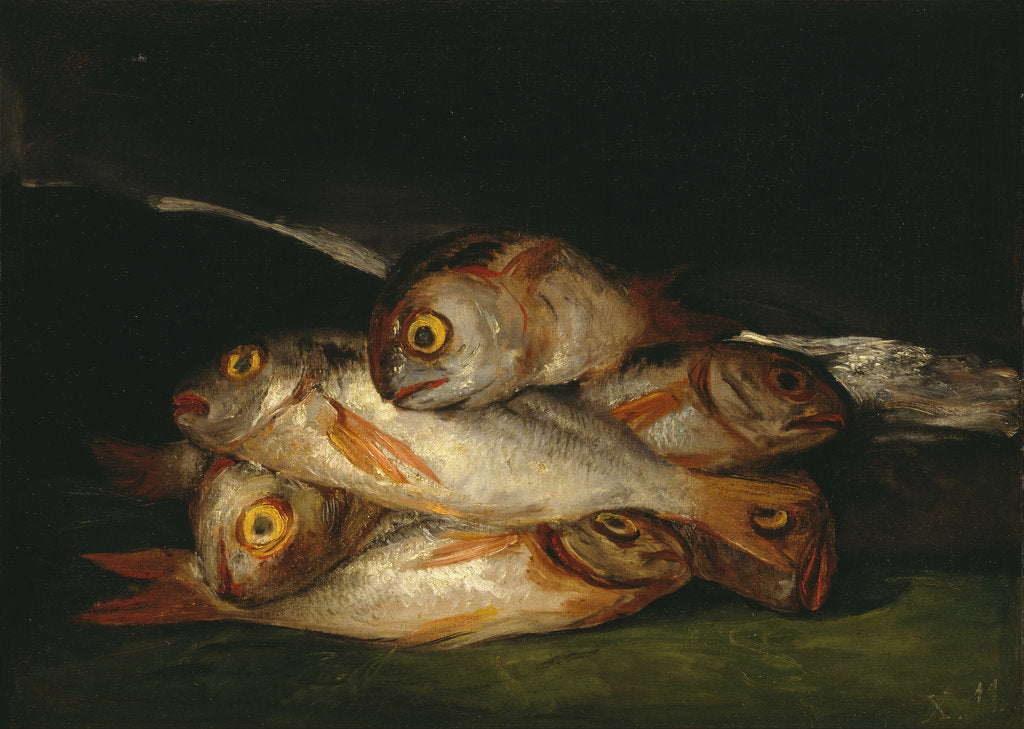 Detail of Still Life with Golden Bream, 1808-1812 by Francisco de Goya