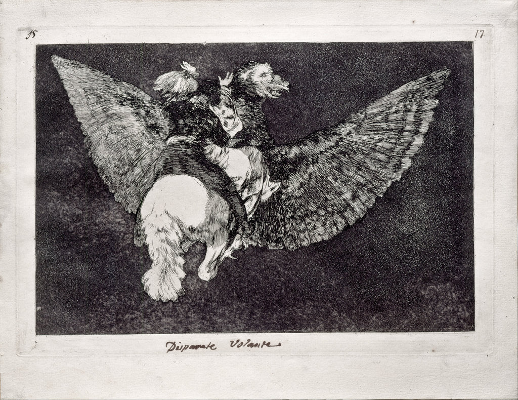 Detail of Flying Folly by Francisco de Goya